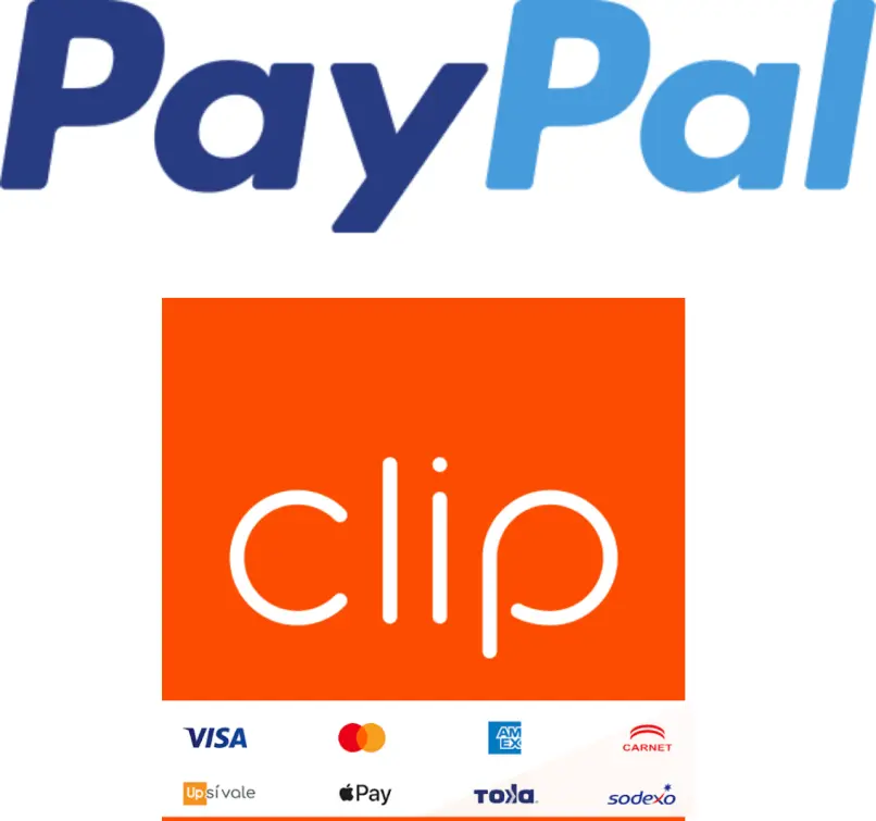 pay taxi san miguel de allende